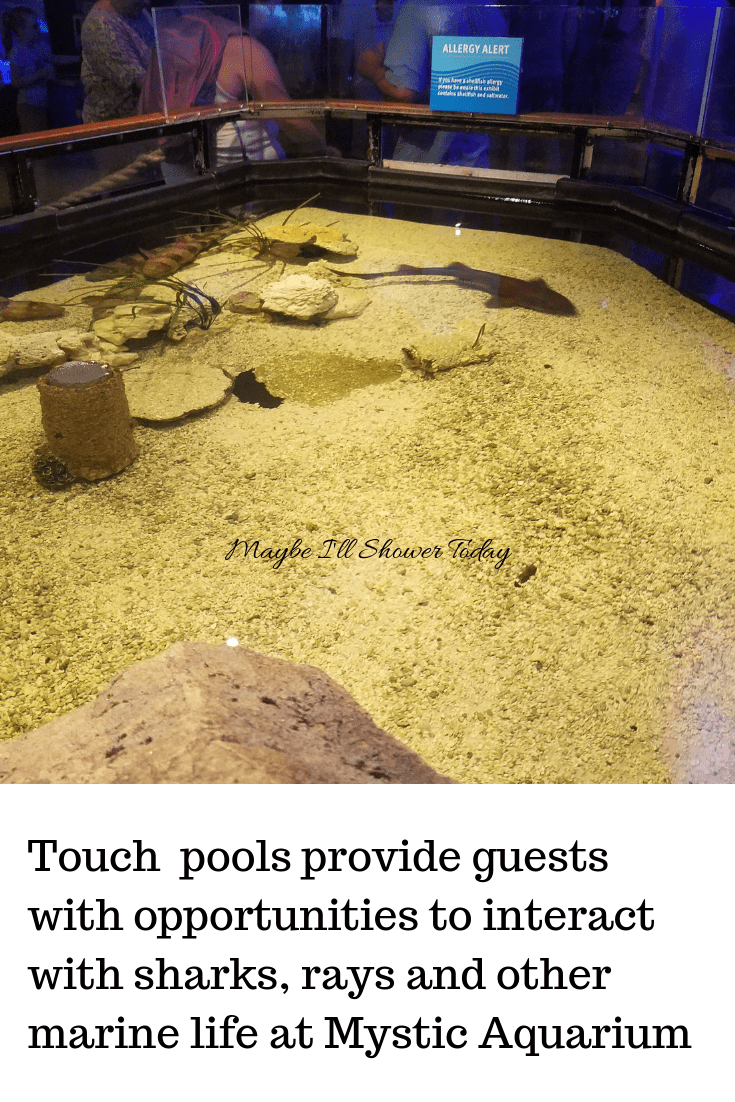 mysticaquariumtouchpool